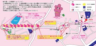河津桜親子で河津桜さんぽ 子連れ 2019.2.17 現地発 kawazusakura 河津桜と屋台! ä¸‰æµ¦æµ·å²¸ã®æ²³æ´¥æ¡œ2021 è¦‹é ƒã‚„é–‹èŠ±ã¯ æ¡œã¾ã¤ã‚Šã‚„ãƒ©ã‚¤ãƒˆã‚¢ãƒƒãƒ—ã¯ å­£ç¯€ãŠå½¹ç«‹ã¡æƒ…å ±å±€