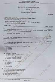 Toate articolele | articolele lui candale silviu. Subiecte È™i Barem Bac Biologie 2020 Au ApÄƒrut Subiectele Pe Care Elevii Le Au Avut Anul Acesta Libertatea