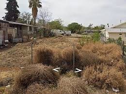 322 Olive Ave, Taft, CA 93268