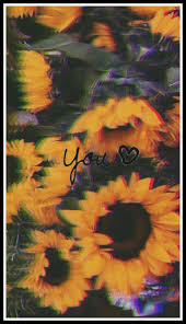 Fondo De Pantalla Flores Tumblr Girasol Iphone X Wallpaper 406942516328902975 Iphone X Wallpapers Hd 20 fondos para celular tan bonitos que no podras dejar de mirarlos. girasol iphone x wallpaper