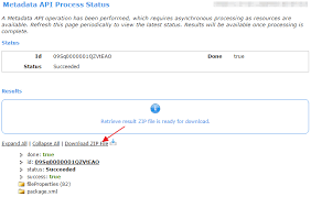 Simplysfdc Com Salesforce Retrieving Metadata With Developer Workbench