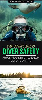 What Should Divers Do For Their Safety This Guide Answers All The Pressing Questions To Keep You Safe On Your Next Fishing Guide Spearfishing Water Adventure