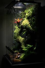 Time 60x45x90cm Reptile Terrarium Vivarium Frog Terrarium
