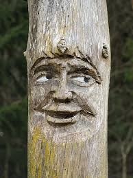 cara, árbol, tallado, madera