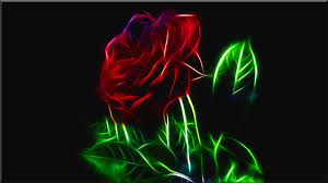 Gambar bunga mawar hitam wallpaper. Gambar Bunga Mawar Cocok Dijadikan Sebagai Wallpaper Ia Fkg Unhas