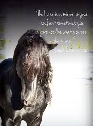 With buck brannaman, gary myers, bibb frazier, betty staley. 22 Awesome Horse Quotes And Sayings We Need Fun