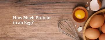 How Much Protein in an Egg?