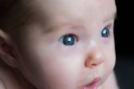 Jocelyn Waller Photography