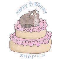 Happy Birthday Cat Gifs Get The Best Gif On Giphy It's really important to send someone an online birthday message. happy birthday cat gifs get the best