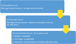 Agricultural Income Overview Taxability