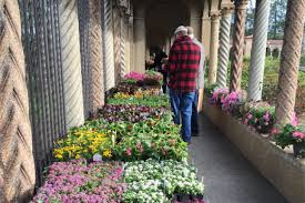 The sale flowers assorted here all come with a freely included message card that you can personalize. Online Plant And Herb Sale Curbside Pickup Franciscan Monastery Of The Holy Land In America