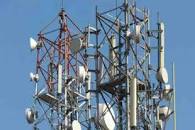    TV   टावर ले रहा पक्षियों की बलि के लिए इमेज परिणाम