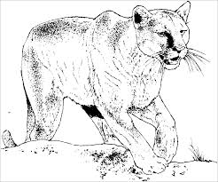 Free printable cat coloring pages for kids. Free Printable Cougar Coloring Pages Coloring Pages Name Circle