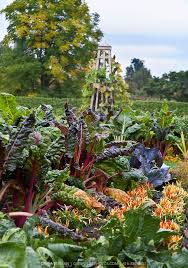 Farm Kitchen Garden Kitchen Garden Edible Landscaping Garden