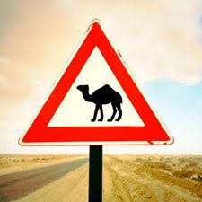 Tous les voeux sont permis inscription. Test Pour Permis Conduire Marocain Et Papiers A Fournir Mariage Franco Marocain