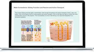  for example, a macrophage's ability to destroy bacteria involves the whole cell, coordinating components such as the cytoskeleton, lysosomes, and. Https Www Pearsonhighered Com Assets Preface 0 1 3 5 0135855837 Pdf