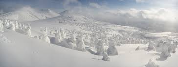 Image result for Hakkoda Walk