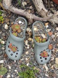 Garten Schuhe Bepflanzen Hauswurz Haus Keativ Garten Garten Anpflanzen Hauswurz