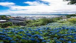Sinar matahari matahari merupakan pengatur iklim di bumi yang sangat penting dan menjadi sumber energi utama di bumi. Tempat Wisata Di Jepang
