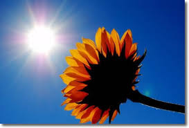 Upload, livestream, and create your own videos, all in hd. Esonet It Pagine Scelte Di Esoterismo Solstizio D Estate Festa Della Luce