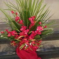 We did not find results for: Reeves Wholesale Floral Suppplies 3 Tips From 54 Visitors
