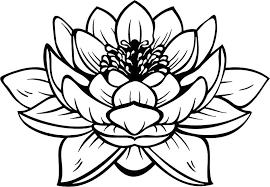 lotus flower sticker by lil salt lotus outline tattoo illustration flower tattoo