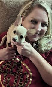 Our 1.7 kilo bundle of joy Ashanti! When we purchased her we thought she  was a normal sized chihuahua but to our suprise our wee girl has decided to  be