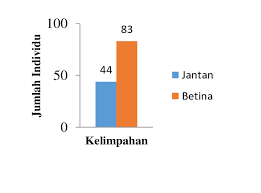 Jangan lupa juga kunjungi website kami yang. Gambar 1 Kelimpahan Udang Galah Yang Tertangkap Di Sungai Ogan Download Scientific Diagram