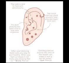 Check spelling or type a new query. The Ear Piercing Bible Astrid Miyu