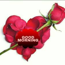 Good Morning Images Good Morning Roses Good Morning Images Flowers Good Morning Flowers