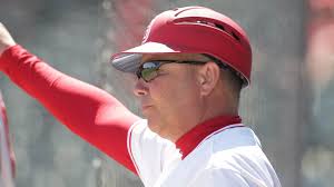 Meet the Braves: Elvis Dominguez