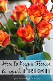 Maybe you would like to learn more about one of these? How To Keep A Flower Bouquet Fresh Making Life Blissful
