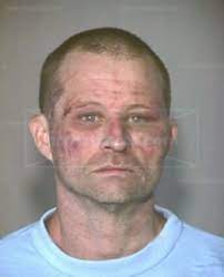 Learn about plunkett's pest control in minneapolis & st. Paul Massey Address Phone Number Public Records Radaris