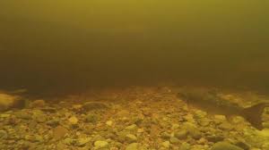 View of the loch ness monster, near inverness, scotland, april 19, 1934. New Video Of The Loch Ness Monster Proof Or Prank Abc News