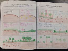 Primary And Secondary Succession Picture Notes Secondary Succession Earth Science Lessons Ecological Succession