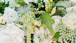 We did not find results for: Send I Am Sorry Flowers London Flower Station