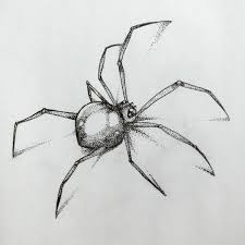 Pin On Spinnekop