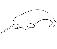 Check spelling or type a new query. Drawing Sea Creatures How To Articles From Wikihow