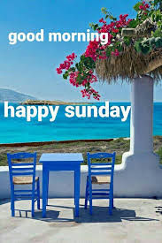 Pin By Sutapa Sengupta On Good Morning Good Morning Happy Sunday Good Morning Flowers Good Morning Happy Here we are presenting you good morning wishes on sunday. good morning happy sunday
