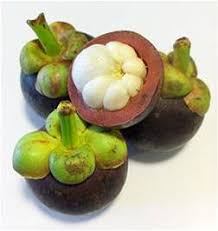 Cair obat tradisional kulit buah manggis : Alfa Mangostin Dari Kulit Buah Manggis Obat Herbal Obatku
