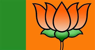 Bjp Flag Photoshop Backgrounds Free Free Photo Editing Background Images For Editing
