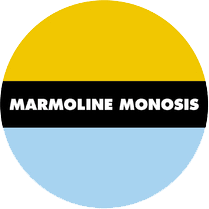 Image result for Monosis