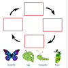 The life cycle of a lizard ranges from 3 to 50 years. 1
