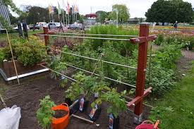 Ein Pflanzgerust Steht Auf Einem Beet Bildrechte Mdr Daniela Dufft Mdr Garten Gartendekor Spalier