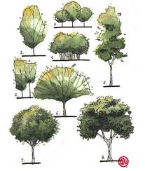 Pin By Amira El Semellawy On Architecture Drawing Tree Sketches Landscape Sketch Landscape Architecture Drawing