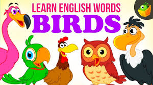 Maybe you would like to learn more about one of these? Birds Pre School Learn English Words Spelling Video For Kids And Toddlers Youtube