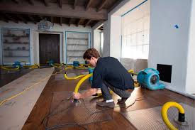 Why Immediate Water Damage Restoration is Crucial - PuroClean of Aventura