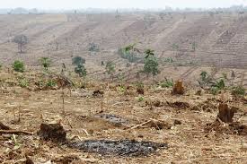 Rumah kaca yaitu suatu bangunan yang didesain sedemikian rupa, jadi menyerupai rumah yang alas, dinding, dan atapnya terbuat dari kaca. Pengertian Efek Rumah Kaca