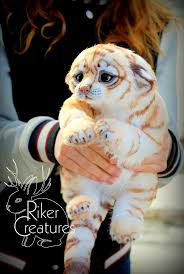 Wonderful, thank you, i enjoyed all of them. Baby Golden Tiger 380 Usd Riker Creatures Baby Animals Cute Baby Animals Baby Tigers