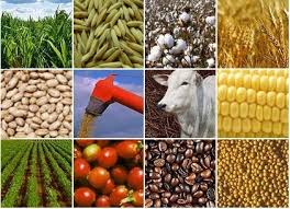 Ciclo do Agronegócio | Multee